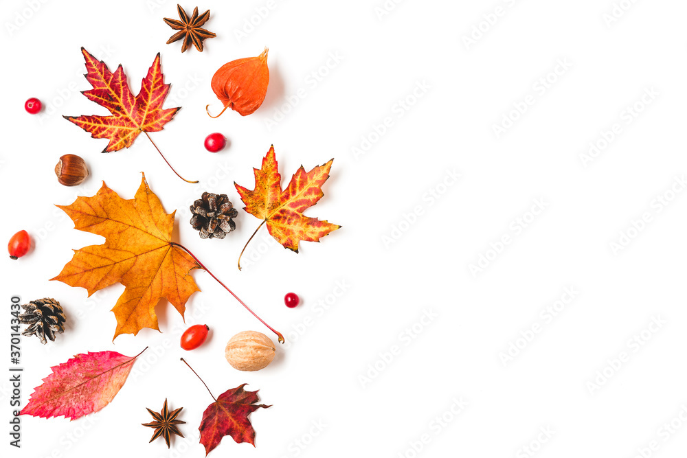 Autumn composition made of autumn leaves, flowers, nuts, berries isolated on white background. Flat lay, top view