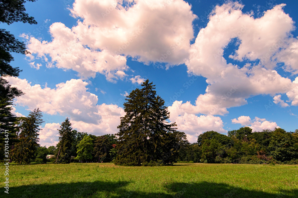 Wide-angle nature landscape view of Large Lawn with trees against blu sky. It is one of the most famous places in the Arboretum Alexandria in Bila Tserkva, Ukraine. Concept of landscape and nature Wide-angle nature landscape view of Large Lawn with trees against blu sky. It is one of the most famous places in the Arboretum Alexandria in Bila Tserkva, Ukraine. Concept of landscape and nature