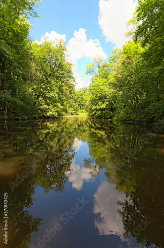 Beautiful summer nature landscape of small pond in the old dense forest in sunny day. Blue sky with white clouds and trees reflected on the water surface.Arboretum Alexandria in Bila Tserkva, Ukraine