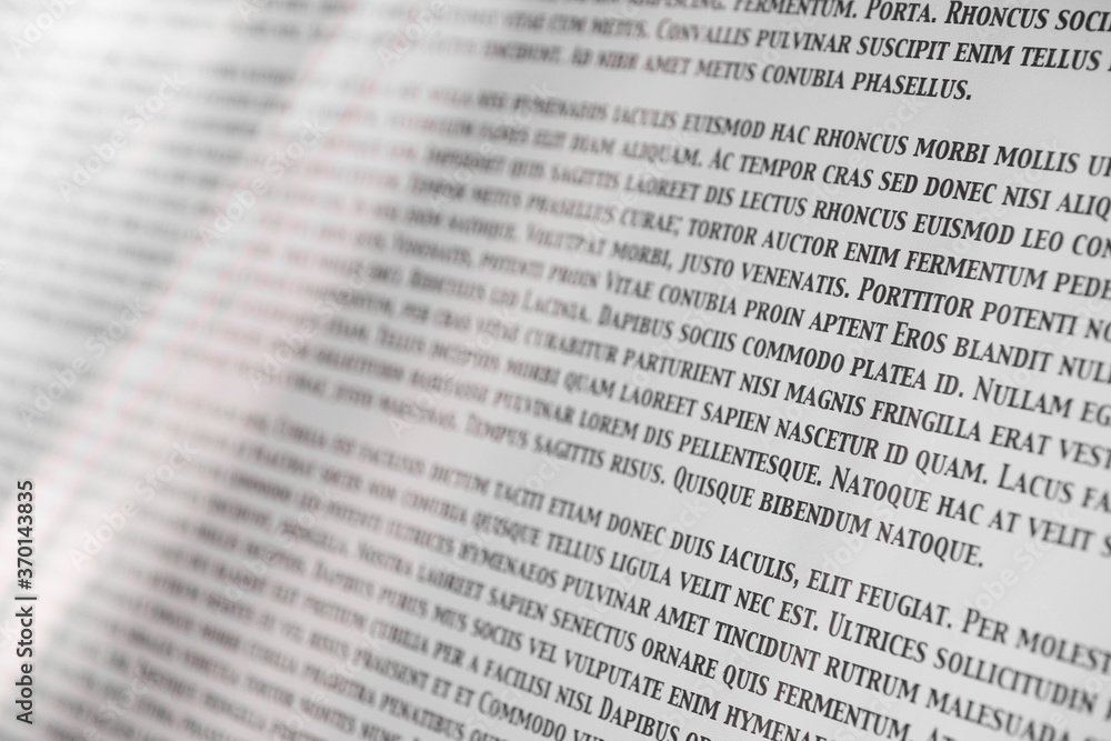 Lorem Ipsum text on a computer screen, a placeholder for text often used to demonstrate the visual form of a document or font in publication and graphic design Lorem Ipsum text on a computer screen, a placeholder for text often used to demonstrate the visual form of a document or font in publication and graphic design
