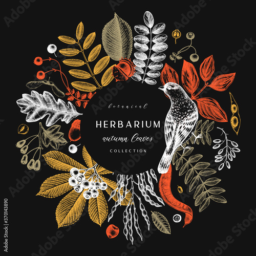 Hand sketched autumn leaves design on chalkboard. Elegant and trendy botanical template with autumn leaves, berries, seeds, and bird sketches. 