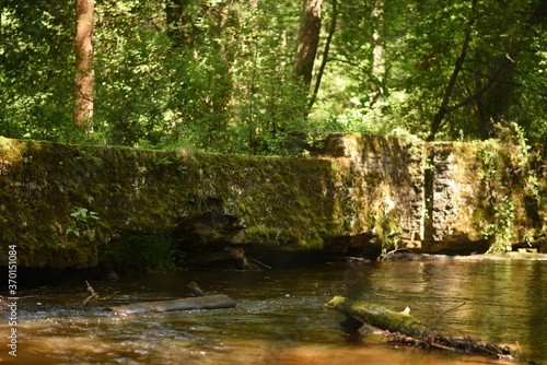 wild river, erupean river, shallow water in the forest