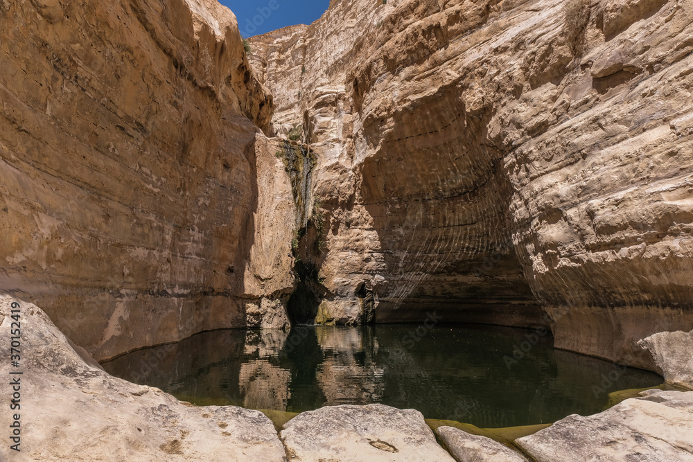 View of Ein Avdat National Park oasis spring, located at the end of a deep canyon, carved by Zin stream at the foot of Midreshet Ben Gurion in Kibbutz Sde Boker, Negev desert, Israel.