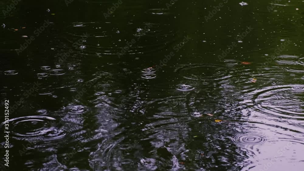 raining on green pond raining on green pond