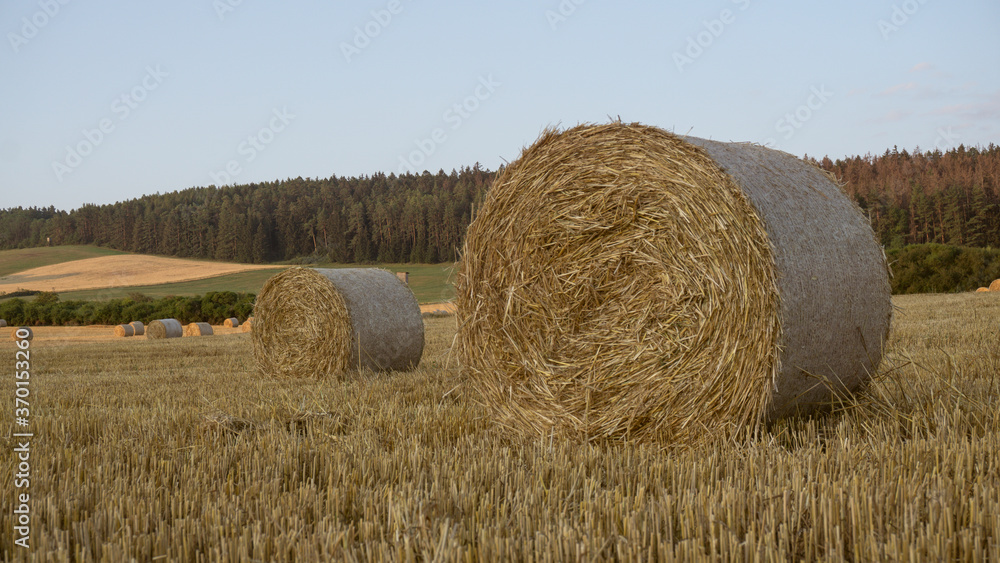Ein Feld mit Strohballen am Morgen
