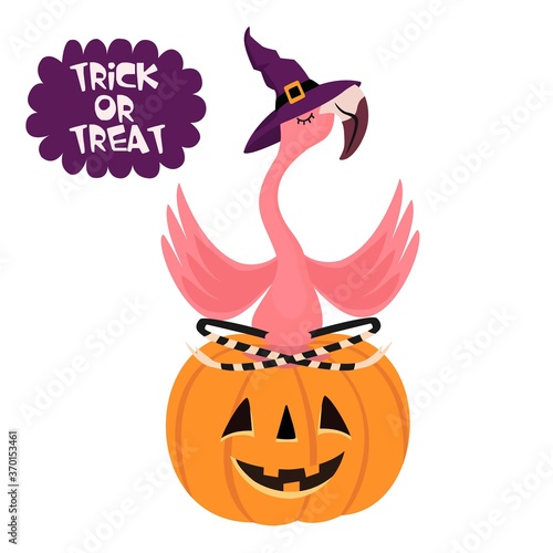 Fototapeta Naklejka Na Ścianę i Meble -  Happy Halloween. Cartoon flamingo with a hat sitting on a pumpkin. Funny vector illustration. Can be used as an element for cards, banners, posters.