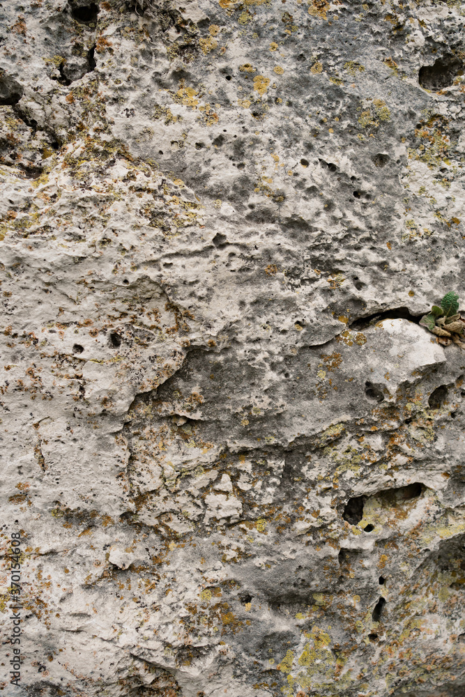 A background image of mossy rock pattern in nature A background image of mossy rock pattern in nature
