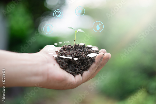 Hand holding the soil containing the Plant sapling With icons needed to grow plants, Concept planting plants for the world Balancing and maintaining the environment .