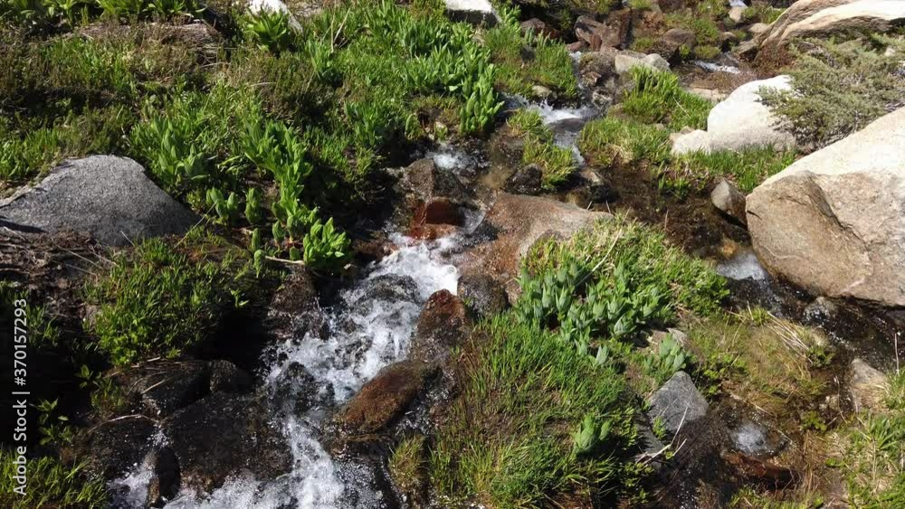 Creeks from snow melt in the high sierra mountains of California Creeks from snow melt in the high sierra mountains of California
