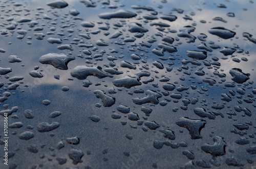 Rain drops on top of the dark car roof.Water drops on car roof after raining , selective focus