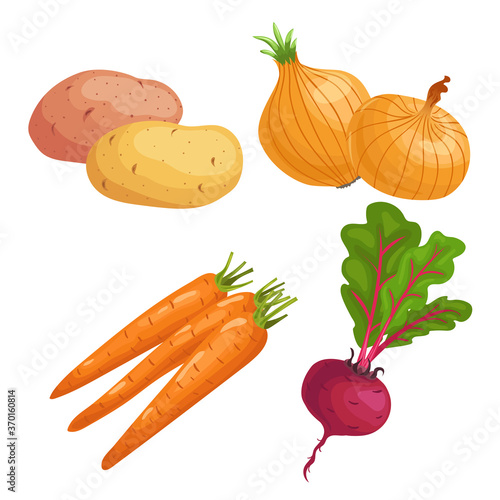 Set of root vegetables. Potato, onion, carrot groups and beet with greens. Cartoon simple design vector illustrations. Fresh farm veggies isolated on white background.