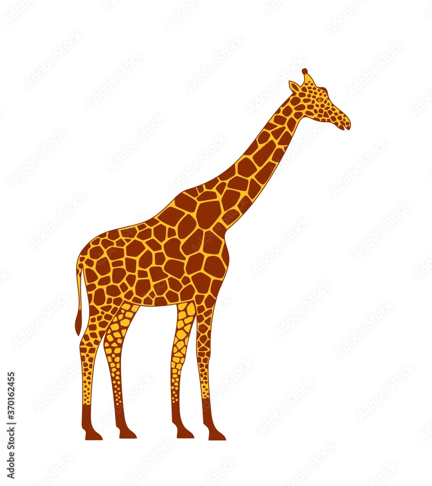 Obraz premium Giraffe logo. Isolated giraffe on white background