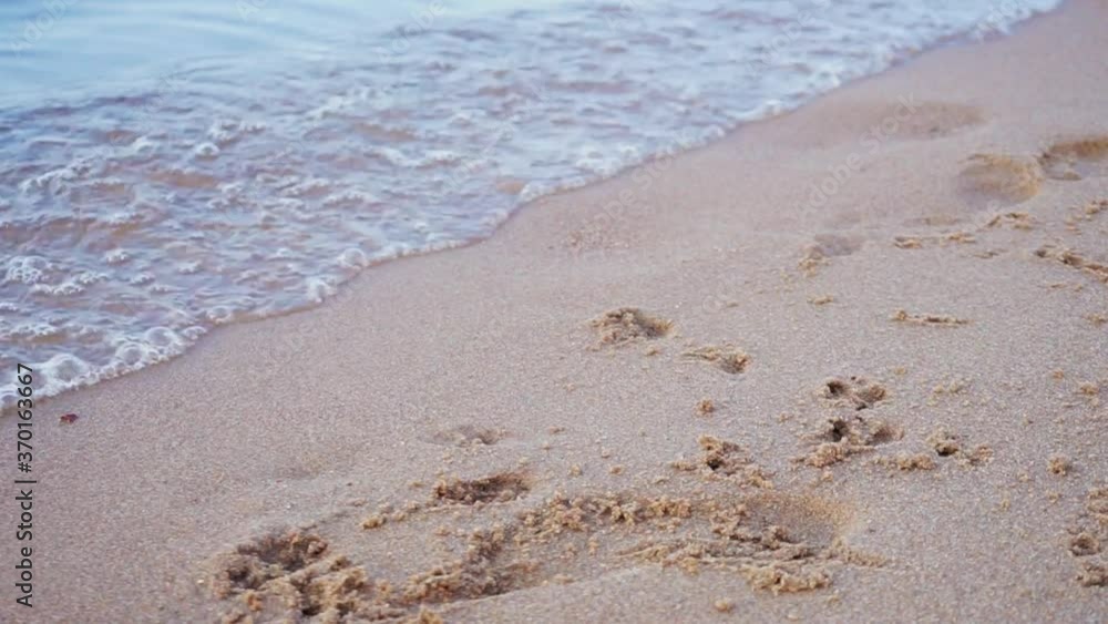 The footprints of a small dog and sea waves on the sandy beach. Summer walk along the Bay The footprints of a small dog and sea waves on the sandy beach. Summer walk along the Bay