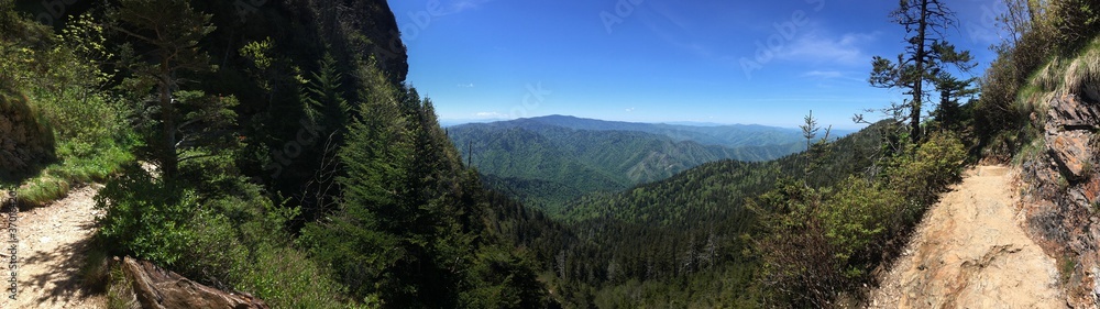Mount LeConte Trail - Smoky Mountains National Park, TN