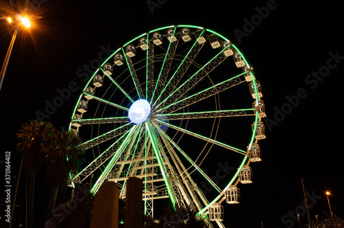 illuminated ferris wheel at night with trees