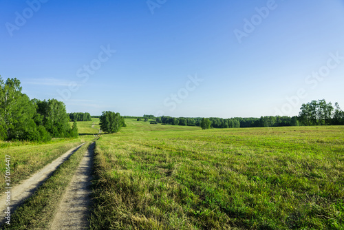 Road through green summer field. Summer landscape.