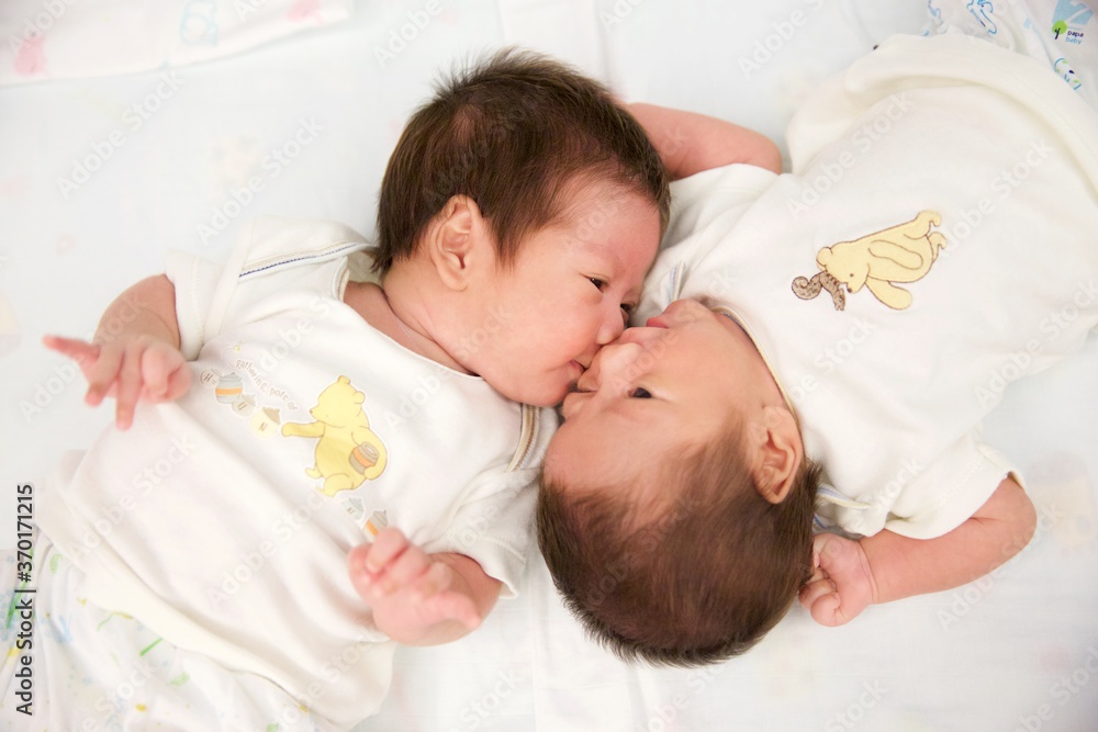 portrait of Cute baby twin asian boys kissing. portrait of Cute baby twin asian boys kissing.