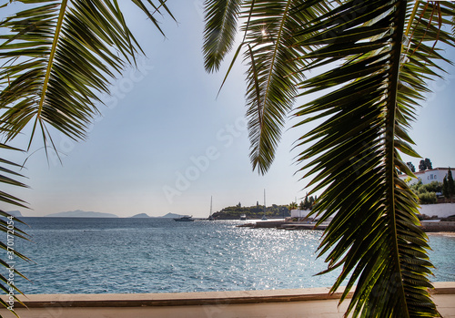 Bild auf Leinwand Amazing  tropic scene of  Palm leaves and Yacht  moving from Island Spetses in s