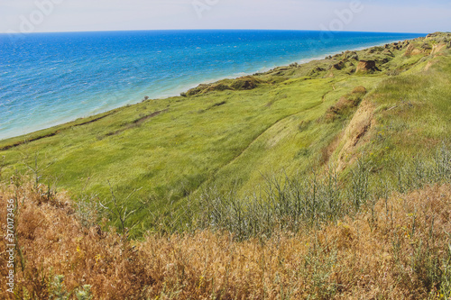 beach and grass in summer