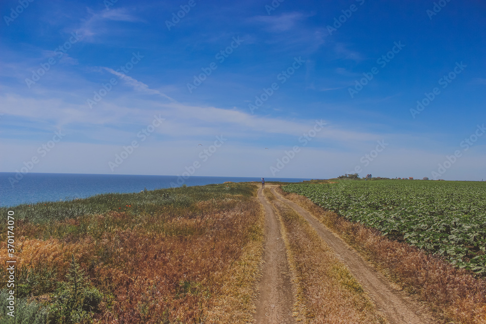 road in the field along the sea