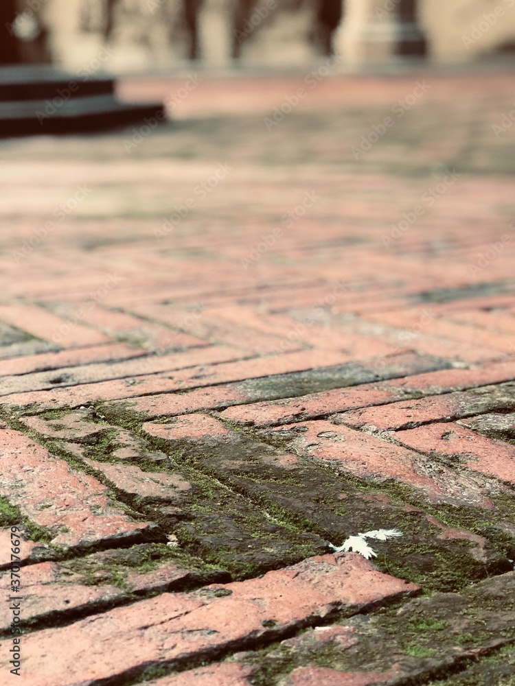Ancient textured brick floor