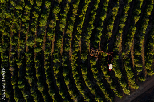 Aerial view of combine harvester in coffee field