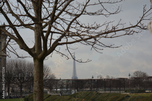 Eiffel tower in winter day