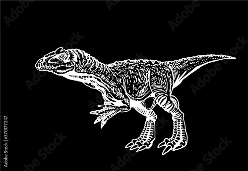 Vector Allosaurus isolated on black background,graphical illustration