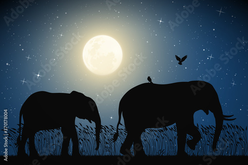 Elephant family walking in tall grass on moonlight night. Animal mother and baby silhouettes. Full moon in blue starry sky. Vector illustration for use in polygraphy, textile, design, nursery decor