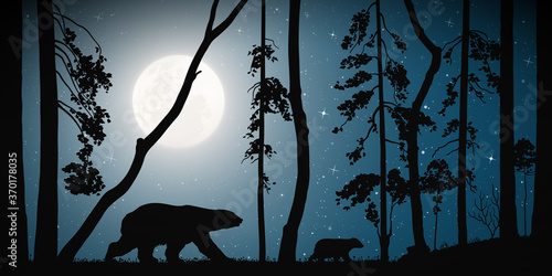 Bears family in forest. Animal silhouettes. Moon in night starry sky