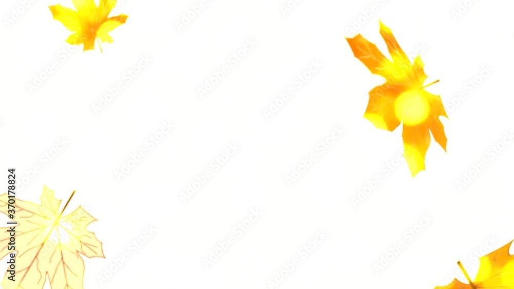 beautiful animation with autumn leaves and sequins beautiful animation with autumn leaves and sequins