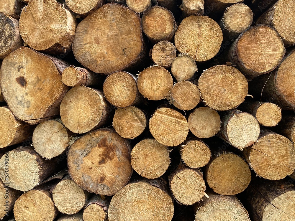 stack of firewood stack of firewood