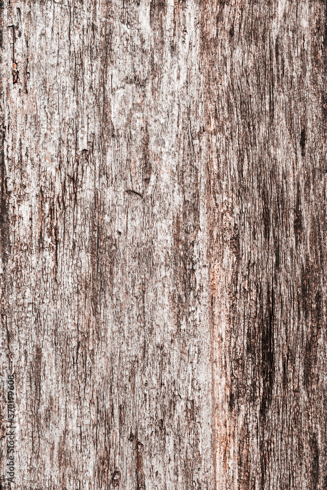 Old wood planks, perfect background for your concept or project. Old wood planks, perfect background for your concept or project.