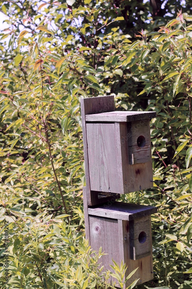 A close view of the old wood birdhouse in the park. A close view of the old wood birdhouse in the park.