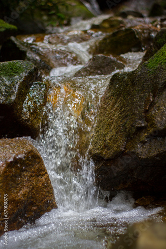 Water flows between the rocks in the rainforest.