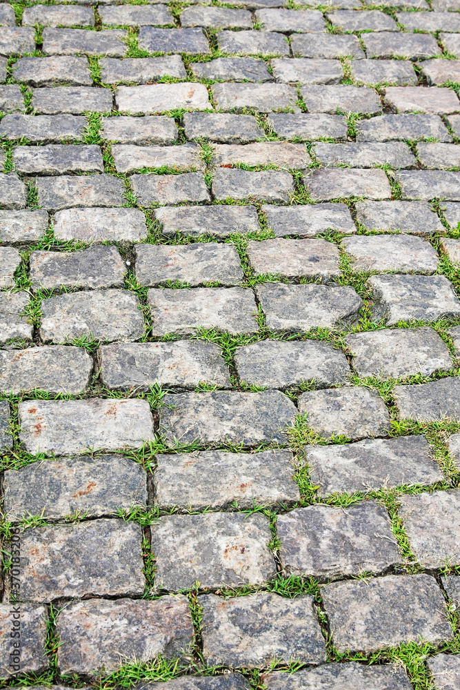 Stone pavement with green grass. Texture or background.