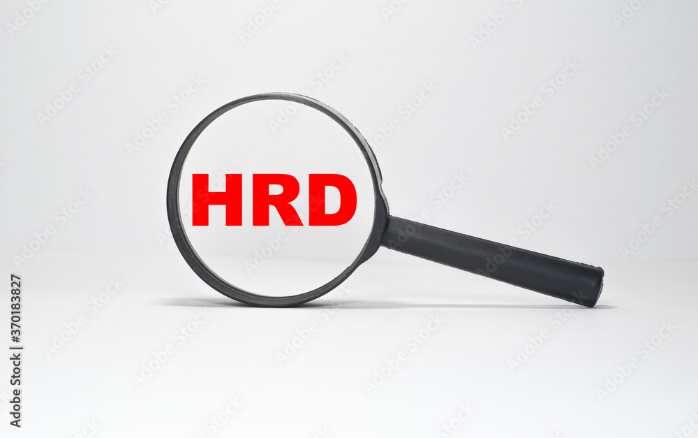 Magnifying glass with the word HDR small medium enterprise Magnifying glass with the word HDR small medium enterprise