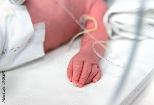 premature baby hand, selective focus. Newborn is placed in the incubator, baby born prematurely. Neonatal intensive care unit