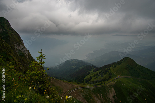 view from the top of Rochers de Naye with clouds in the sky and flowers in the foreground. in the swiss alps