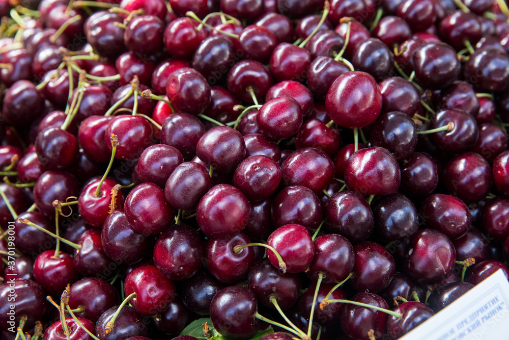 Close up of pile of ripe cherries with stalks and leaves. Large collection of fresh red cherries. Ripe cherries background. Close up of pile of ripe cherries with stalks and leaves. Large collection of fresh red cherries. Ripe cherries background.