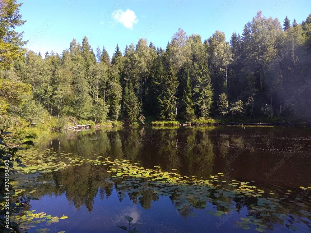 Obraz premium lake