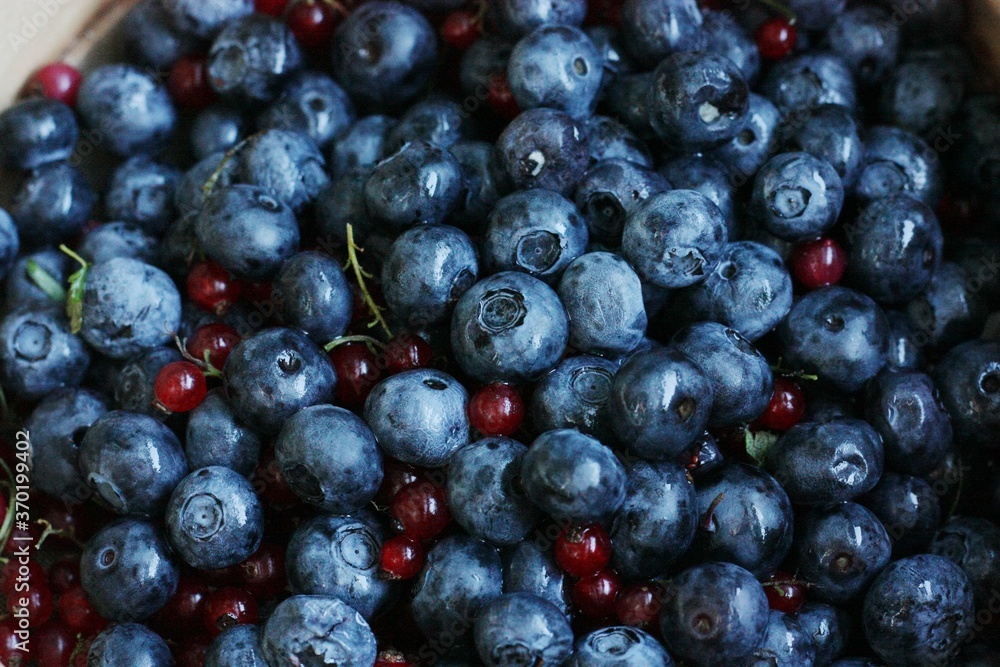 Fresh blueberries and red currants on the table Fresh blueberries and red currants on the table