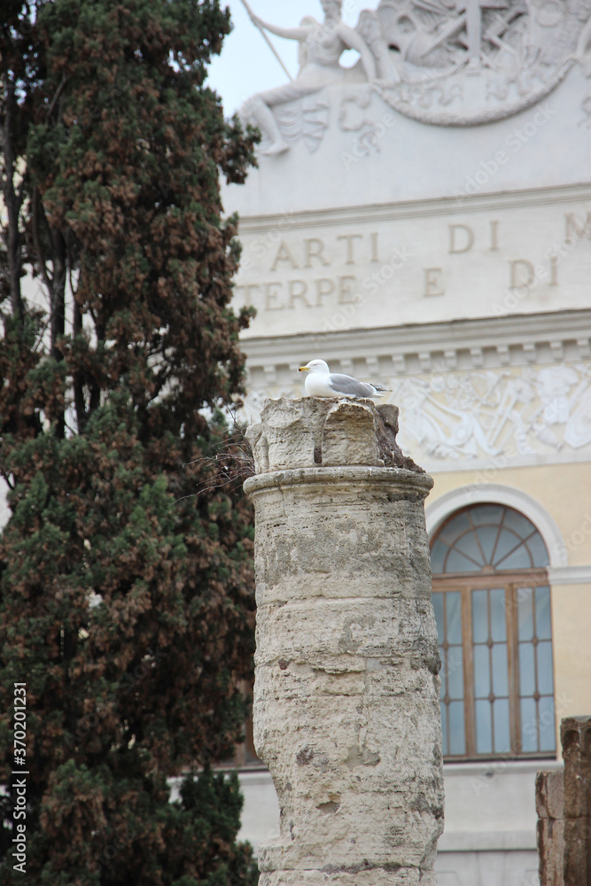 detail of an ancient roman column