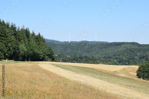 sommerliche Eifel photo