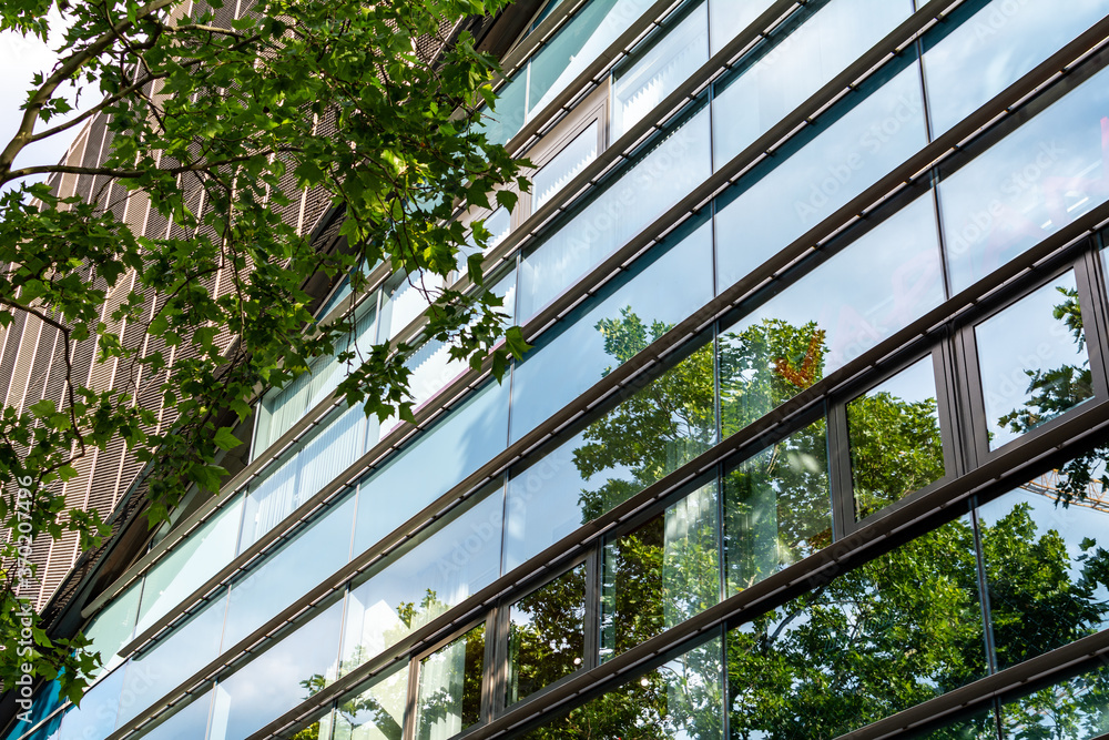 Crowns of trees reflecting in the window pane of a office building. Trees and clouds are reflected in the glass of the window