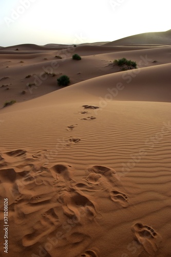 La arena del desierto del Sahara en Marruecos es la más bonita y naranja del mundo
