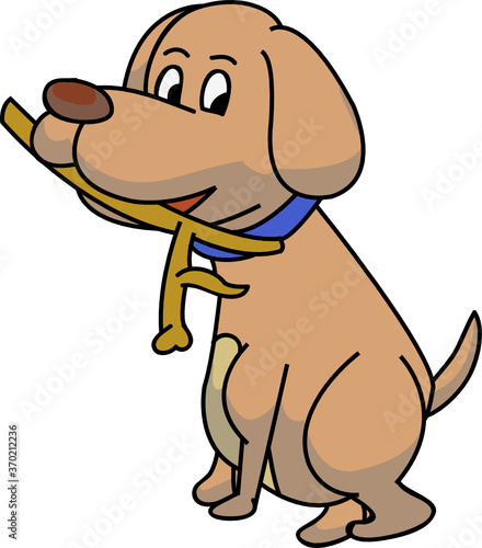 dog with wood