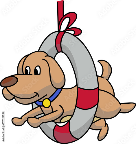 dog playing