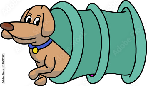dog playing