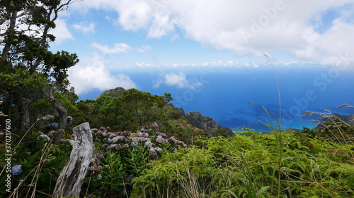 Kalalau Lookout is a Popular lookout point for picturesque panoramas over the Kalalau Valley & the Na Pali coast 1